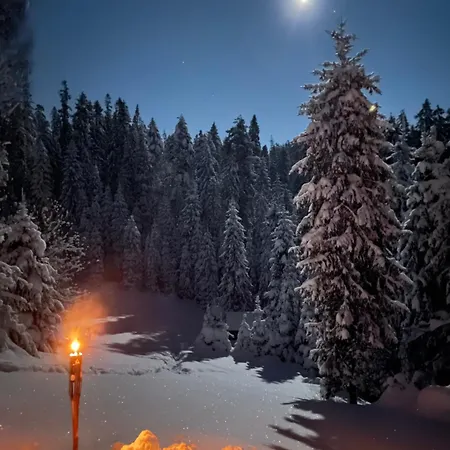 Дом отдыха Gorczanska Ostoja