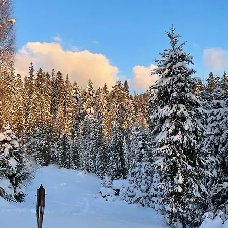 Дом отдыха Gorczanska Ostoja