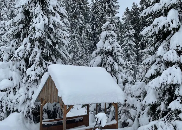 Gorczanska Ostoja בית נופש Klikuszowa